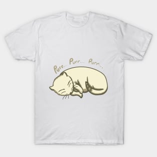 Sleepy Kitty T-Shirt